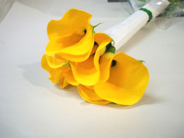 カラー　イエロー イエロー L 推奨産地