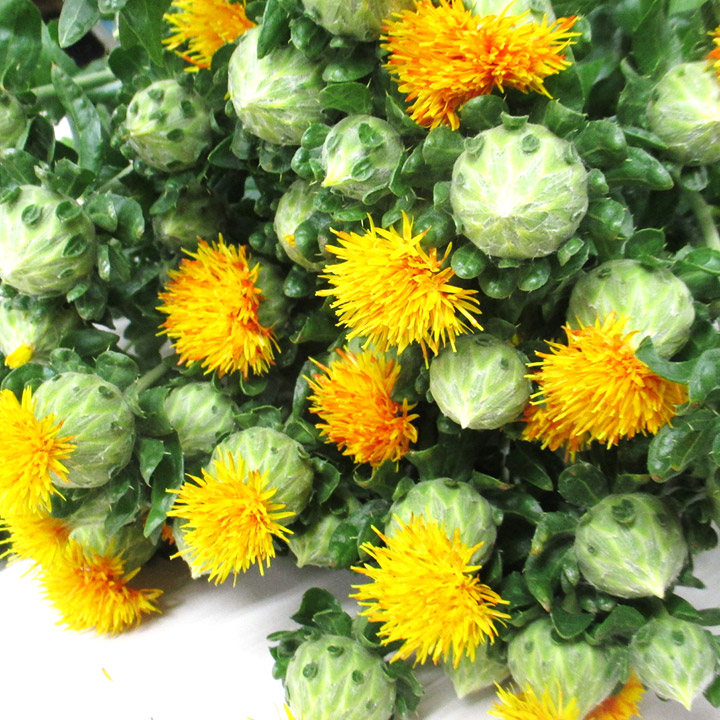 紅花 L 【予約メニュー】推奨産地