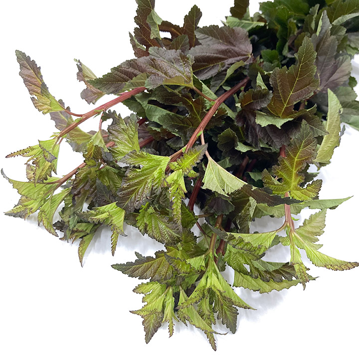 エダモノ ディアボロ L 【予約メニュー】推奨産地